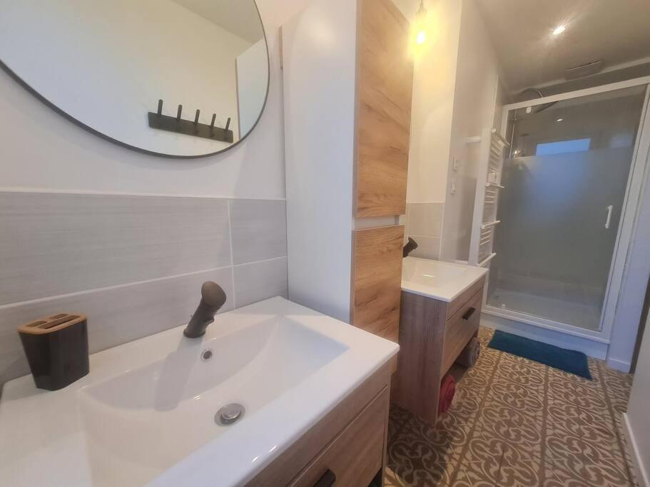 Apartament L'Escale Charliendine Charlieu Zewnętrze zdjęcie