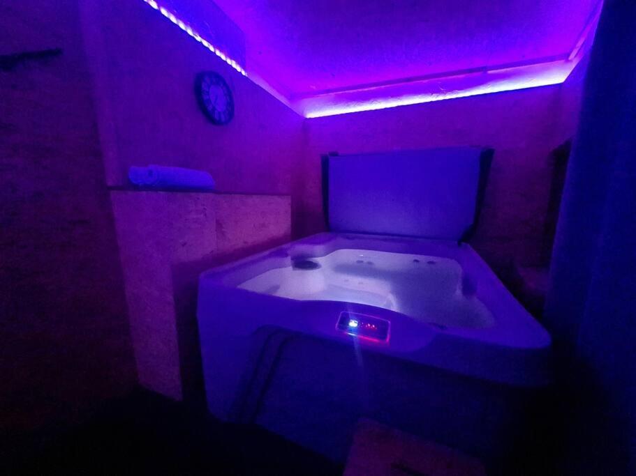 Apartament L'Escale Charliendine Charlieu Zewnętrze zdjęcie